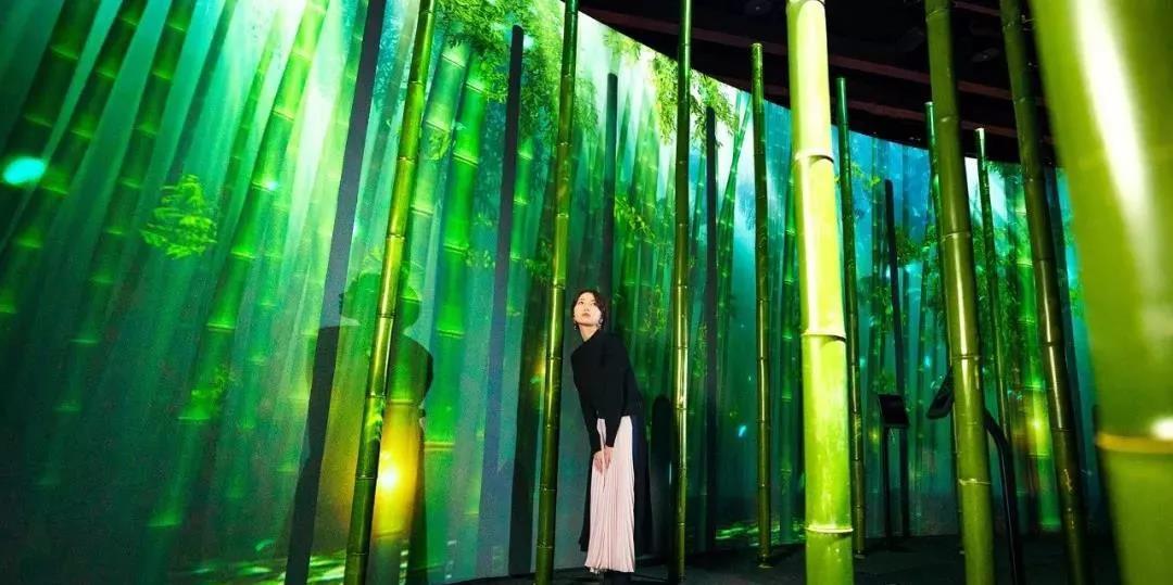 沉浸式的櫻花展覽策劃驚艷了廣大游客的目光，光影互動太厲害了！