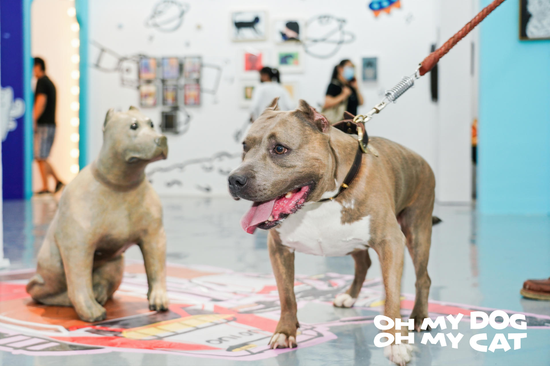 “OH MY DOG,OH MY CAT”萌寵大展活動(dòng)策劃呈現(xiàn)96件心意之作 - 第26張 - 會(huì)展活動(dòng)策劃CCASY.COM “OH MY DOG,OH MY CAT”萌寵大展活動(dòng)策劃呈現(xiàn)96件心意之作 - 第26張