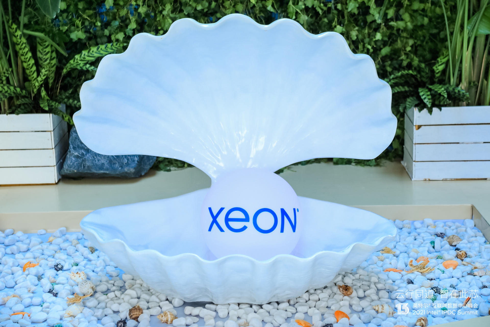 英特爾互聯(lián)網(wǎng)數(shù)據(jù)中心峰會活動策劃解鎖 “芯” 憧憬，織就新 “云” 圖