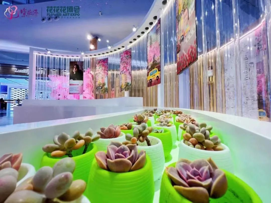 打卡花花·花博會(huì)2.0活動(dòng)策劃，朋友圈分分鐘C位出道