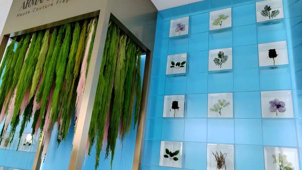 阿瑪尼「巖蘭綠洲」快閃店活動策劃邀您循香入境，回歸純粹內(nèi)心