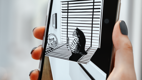 「有貓病」關(guān)于貓的奇怪個(gè)展活動(dòng)策劃是既奇趣溫暖又無(wú)厘頭的想象空間