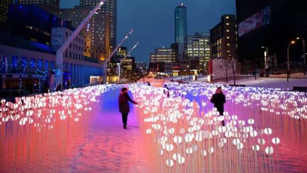 28000個白色水晶莖的燈光秀展覽活動，反思人類與自然環(huán)境的關系