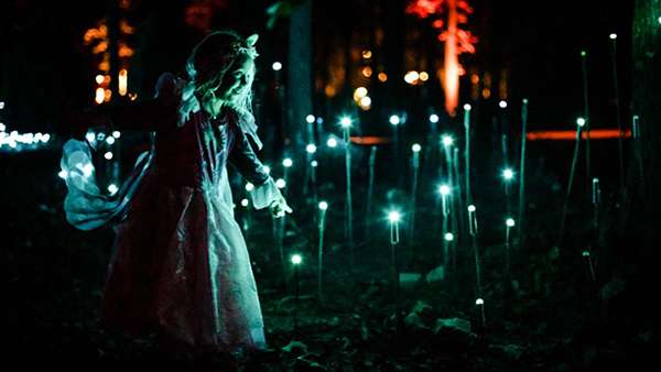 燈光秀藝術(shù)展覽活動(dòng)領(lǐng)我們冬天在沉浸式森林一起漫步，走起！