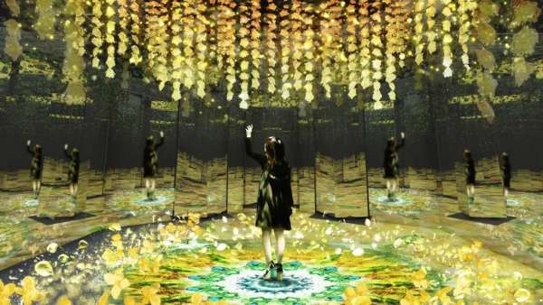 2020漫天櫻花主題會展活動將再度刷爆朋友圈，打卡必備點