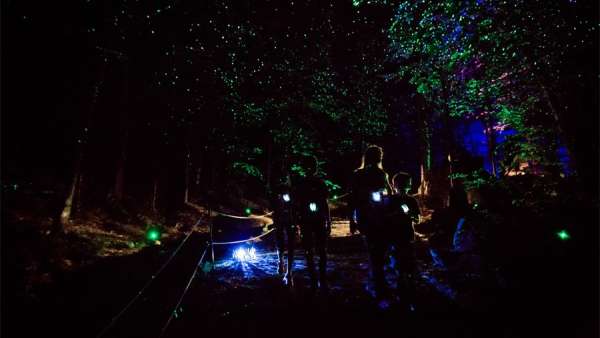 一場(chǎng)夜間冒險(xiǎn)展覽活動(dòng)悄然亮相，策劃形式更具挑戰(zhàn)性