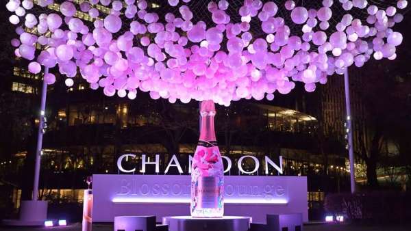 如此觀賞性極強的氣泡櫻花展覽活動，不走步一波太對不住它的美