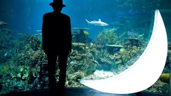 中秋節(jié)的展覽活動藝術(shù)裝置創(chuàng)意看這里，中秋節(jié)你就是這條街最靚的“仔”