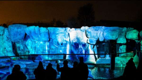 改變城市夜生活的燈光藝術(shù)展覽活動邀你來動物園欣賞不一樣的夜景