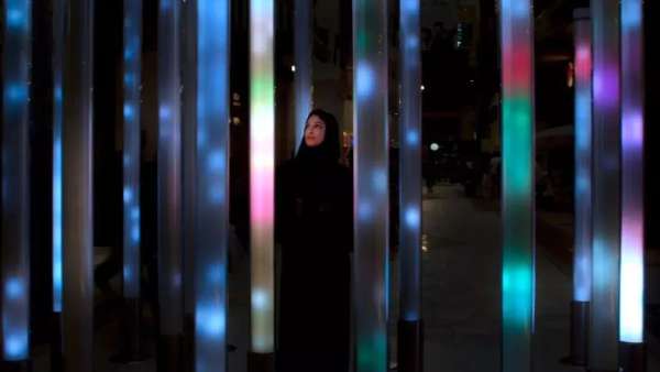 百鳥匯集的沉浸式展覽活動(dòng)讓人耳目一新，大自然的鳥舍原來(lái)如此