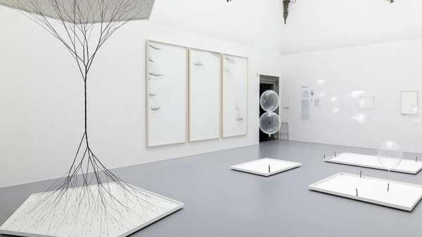 這樣的大型展覽活動從藝術、社會到生命科學，多學科實踐的涵蓋在內(nèi)