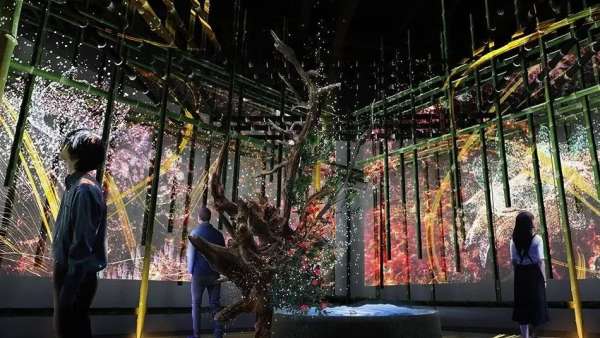 武漢櫻花季已來走，無奈只能靠商場(chǎng)里的主題櫻花展覽活動(dòng)裝置解情仇