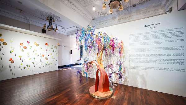 魅力香檳打造限時(shí)藝術(shù)快閃展覽活動(dòng)空間，沉浸式感官體驗(yàn)更精致