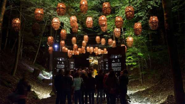 身臨其境的冒險活動派對，幻光森林的感官體驗無與倫比