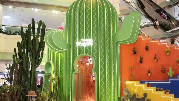 仙人掌主題會(huì)展活動(dòng)帶你“漲姿勢(shì)”啦，“仙”境之旅開啟咯