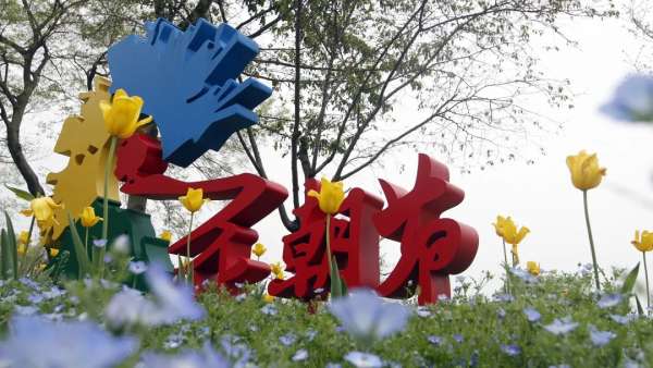 亂花漸欲迷人眼，全新西溪花朝節(jié)展覽活動(dòng)與你來(lái)一場(chǎng)春天的約會(huì)