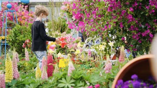 300㎡神仙級(jí)的治愈展覽活動(dòng)已備好，就等你來打卡