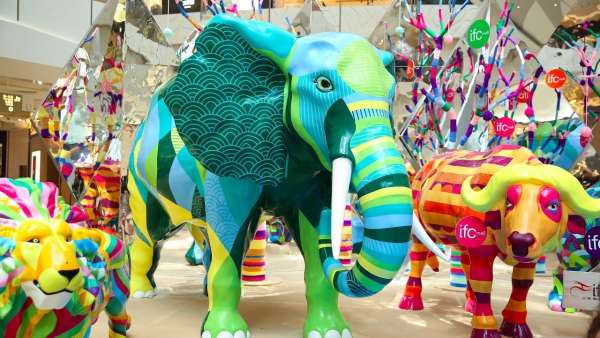 聽說非洲五霸受邀參加了這個藝術(shù)展覽活動策劃的叢林萬花筒