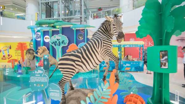 禮遇自然沉浸式展覽活動(dòng)上，兩只強(qiáng)壯的非洲獅正在打斗，萌趣又吸睛