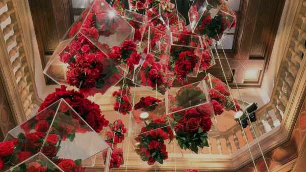 4000多枝玫瑰花的藝術(shù)展覽活動裝置美得讓人窒息