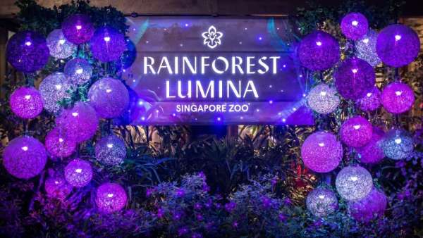 新加坡動(dòng)物園周年慶活動(dòng)策劃了亞洲第一個(gè)沉浸式多媒體夜游體驗(yàn)