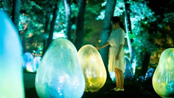 橡子森林被展覽活動(dòng)刷成光之藝術(shù)空間，57種液化光色真美