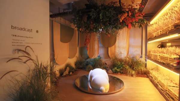 broadcast播x史努比SNOOPY聯(lián)名快閃店活動策劃環(huán)保與浪漫兼具