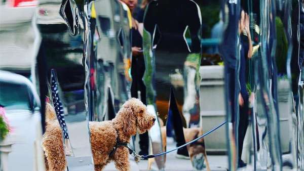 「侍女的故事」推廣活動策劃的140座女性雕像激勵著女性自強(qiáng)奮斗