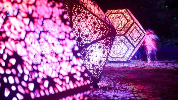 新普利茅斯燈光節(jié)活動策劃將Pukekura公園變成了光影世界，魔幻