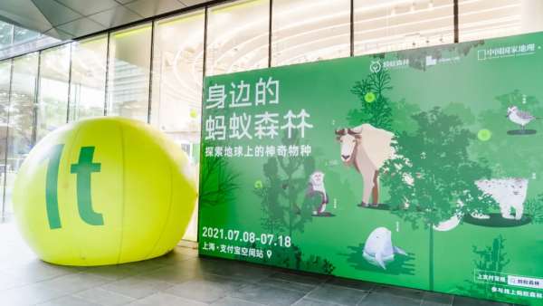 螞蟻森林體驗展覽活動策劃全方位的沉浸式體驗與大自然親密接觸