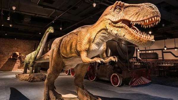 潮流爬寵動物主題展覽活動策劃的三大沉浸式展區(qū)，讓人直呼過癮