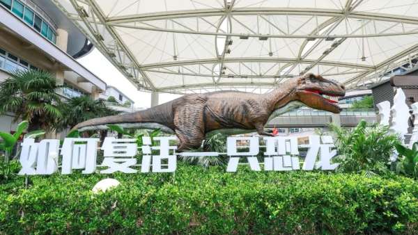 「如何復(fù)活一只恐龍」公益展覽活動策劃一秒就置身侏羅紀(jì)時(shí)代