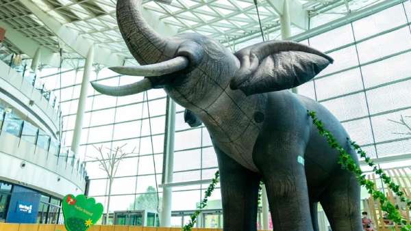 來「森島動物園」夏季美陳活動策劃解鎖你的動物系生活吧