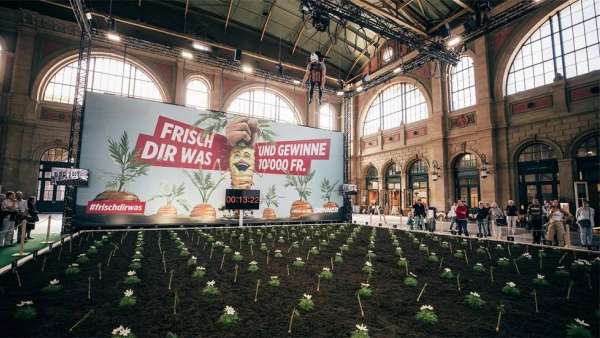 丹納超市的「抓到金胡蘿卜」推廣活動策劃讓參與者收割了一回胡蘿卜