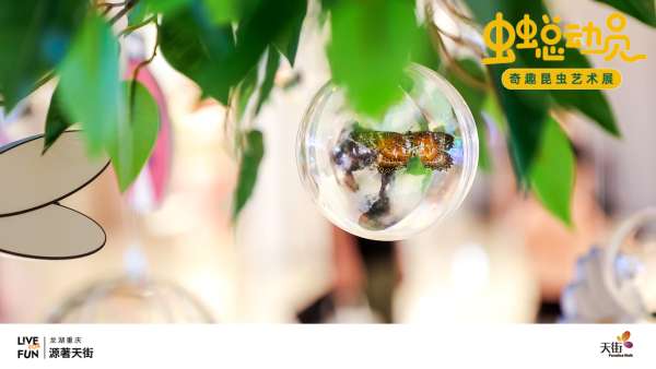 「蟲蟲總動員」奇趣昆蟲藝術展活動策劃讓你愛上大自然
