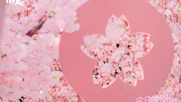 漫步「今日度光櫻」美陳活動(dòng)策劃隨便一拍都是霸圈的ins風(fēng)