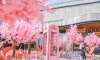 西安環(huán)球港花朝節(jié)活動(dòng)策劃首發(fā)網(wǎng)紅櫻花雨太美了